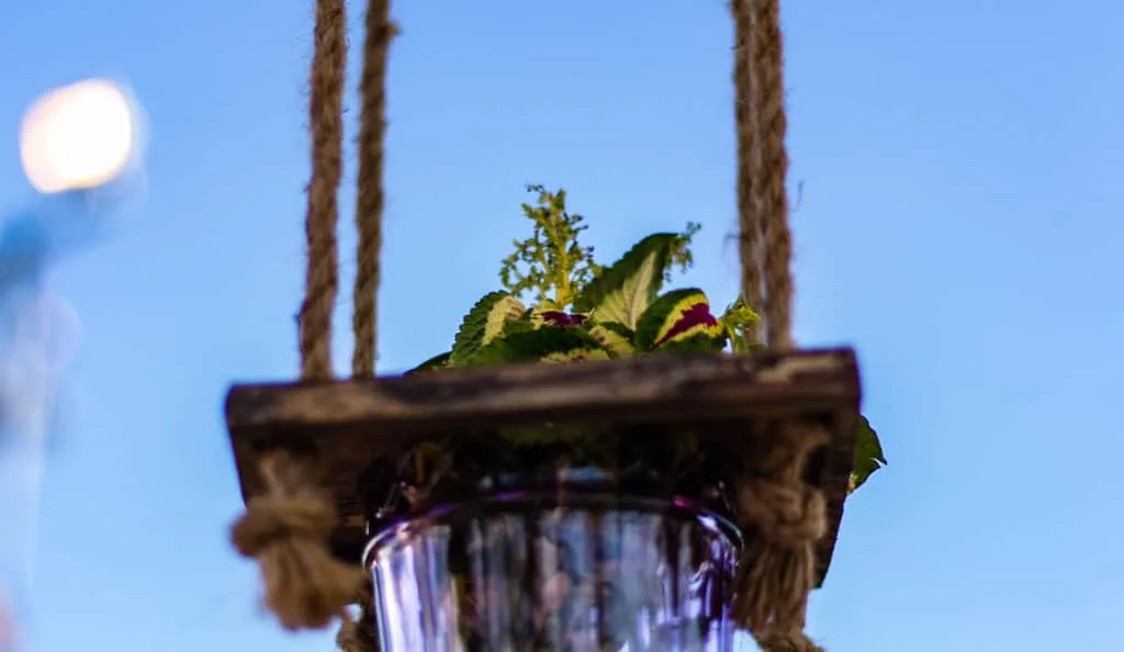 Burning man style wedding — 6